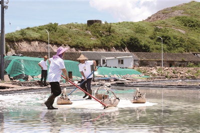 Der erste in der Provinz! Xiangshan Gaotang Island Town Meersalztrocknung Institut für nichtgenetische Organismen eröffnet